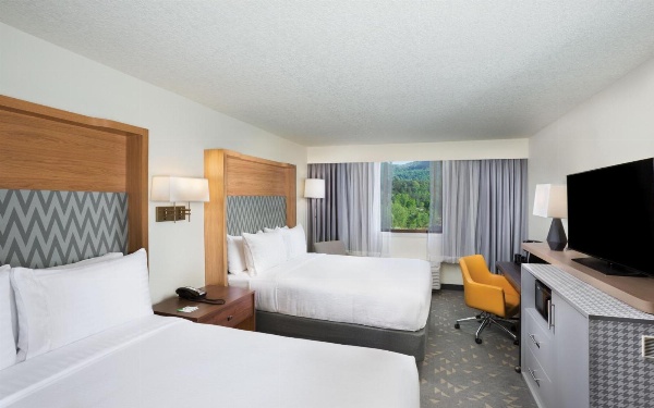 Holiday Inn Asheville East-Blue Ridge Pkwy, an IHG Hotel image 2