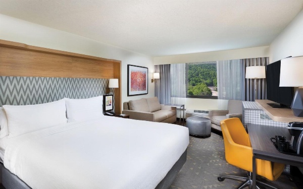 Holiday Inn Asheville East-Blue Ridge Pkwy, an IHG Hotel image 3