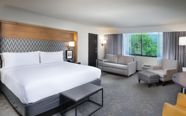 Holiday Inn Asheville East-Blue Ridge Pkwy, an IHG Hotel image 5